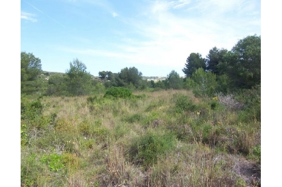 Wohngrundstück in Moraira(Alcazar) zu verkaufen, Klimaanlage, Grondstuk 20000 m², Pool, ref.: BI-MT.G-184-3