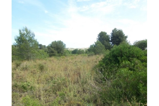 Wohngrundstück in Moraira(Alcazar) zu verkaufen, Klimaanlage, Grondstuk 20000 m², Pool, ref.: BI-MT.G-184-4
