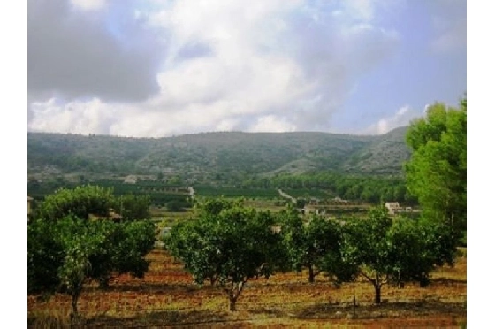 Finca in Benissa(Partida Canor) zu verkaufen, Woongedeelte 60 m², Klimaanlage, Grondstuk 17000 m², Pool, ref.: BI-BE.F-163-2