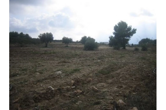 Finca in Benissa(Partida Canor) zu verkaufen, Woongedeelte 60 m², Klimaanlage, Grondstuk 17000 m², Pool, ref.: BI-BE.F-163-4