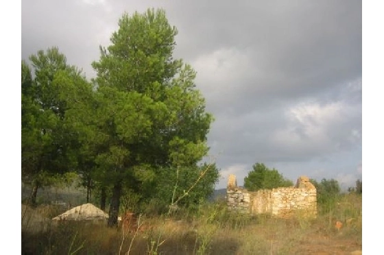 Finca in Benissa(Partida Canor) zu verkaufen, Woongedeelte 60 m², Klimaanlage, Grondstuk 17000 m², Pool, ref.: BI-BE.F-163-8