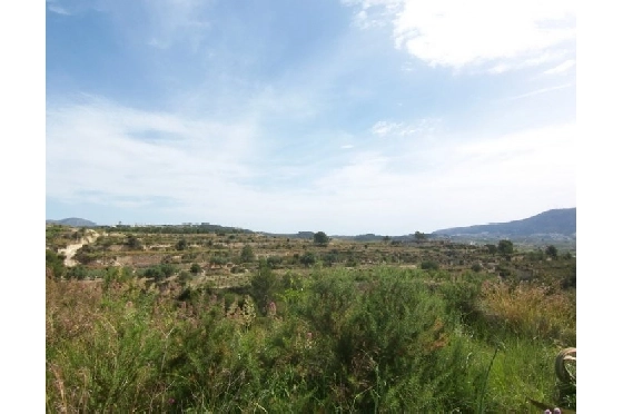 Wohngrundstück in Teulada(Partida Churra) zu verkaufen, Klimaanlage, Grondstuk 14000 m², Pool, ref.: BI-MT.G-183-4