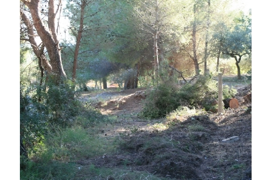 Wohngrundstück in Benitachell(Campo) zu verkaufen, Klimaanlage, Grondstuk 10723 m², Pool, ref.: BI-BX.G-011-4