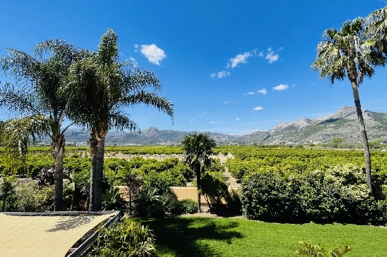Villa in Tormos zu verkaufen, Woongedeelte 300 m², Bouwjaar 2007, Zustand gepflegt, + Zentralheizung, Klimaanlage, Grondstuk 13000 m², 4 Slaapkamers, 4 Badkamers, Pool, ref.: JS-0724-32