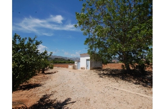 Wohngrundstück in Pego zu verkaufen, Klimaanlage, Grondstuk 22224 m², Pool, ref.: O-V47014-7