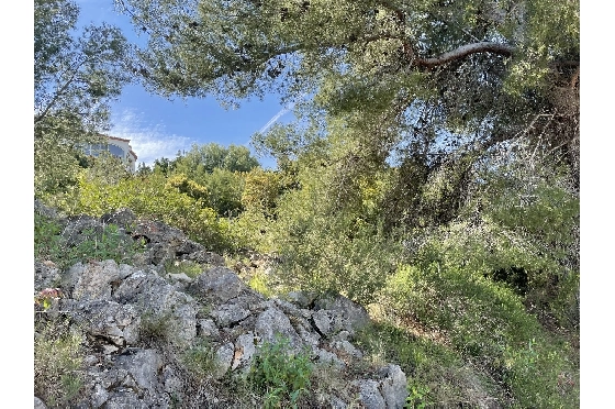 Wohngrundstück in Pego(Monte Pego) zu verkaufen, Grondstuk 1603 m², ref.: SC-D0821-5