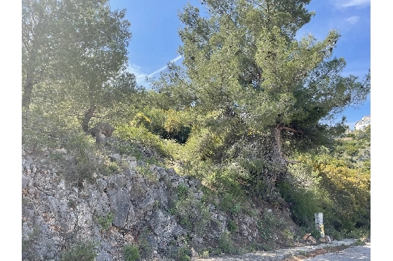 Wohngrundstück in Pego(Monte Pego) zu verkaufen, Grondstuk 1603 m², ref.: SC-D0821-6