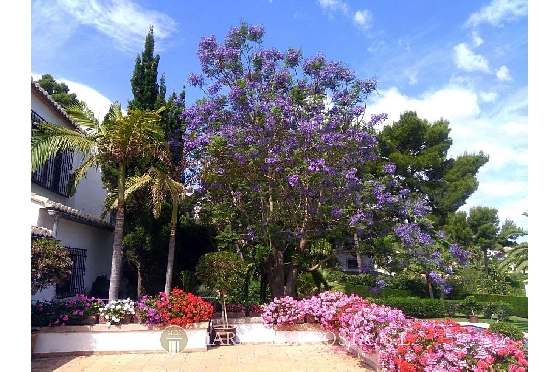 Villa in Javea zu verkaufen, Woongedeelte 500 m², + Zentralheizung, Klimaanlage, Grondstuk 3000 m², 6 Slaapkamers, 5 Badkamers, Pool, ref.: MV-2471-15