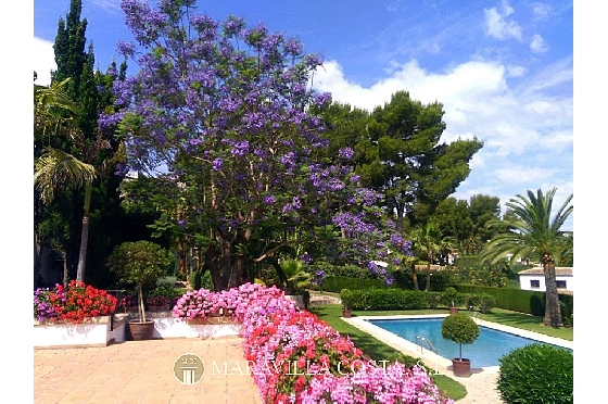 Villa in Javea zu verkaufen, Woongedeelte 500 m², + Zentralheizung, Klimaanlage, Grondstuk 3000 m², 6 Slaapkamers, 5 Badkamers, Pool, ref.: MV-2471-16