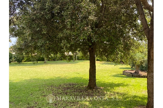 Villa in Javea zu verkaufen, Woongedeelte 500 m², + Zentralheizung, Klimaanlage, Grondstuk 3000 m², 6 Slaapkamers, 5 Badkamers, Pool, ref.: MV-2471-5