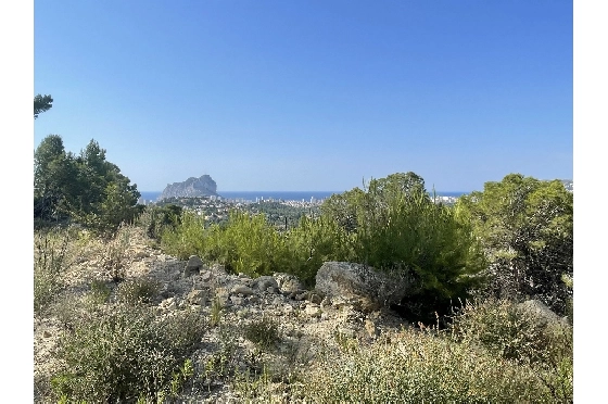 Wohngrundstück in Calpe(La Empedrola) zu verkaufen, Klimaanlage, Grondstuk 2000 m², Pool, ref.: BI-CA.G-080-1