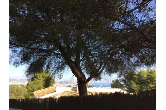 Wohngrundstück in Javea zu verkaufen, Woongedeelte 1000 m², ref.: BS-3974848-6