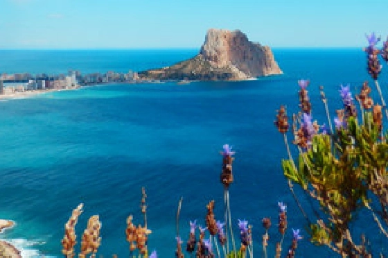 Wohngrundstück in Calpe zu verkaufen, Woongedeelte 17211 m², ref.: BS-4183355-5