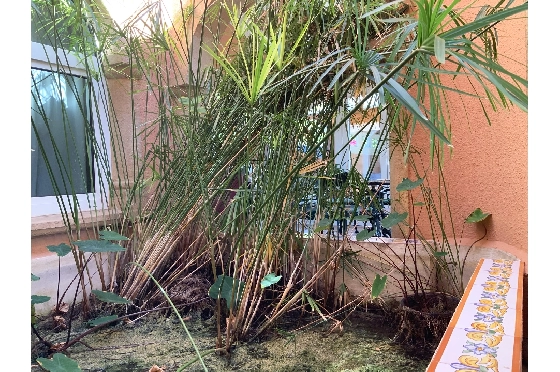 Villa in Javea zu verkaufen, Woongedeelte 604 m², Klimaanlage, 4 Slaapkamers, 6 Badkamers, Pool, ref.: BS-4354121-11