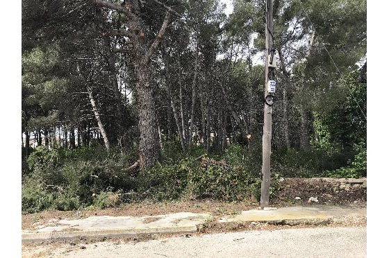 Wohngrundstück in Javea zu verkaufen, Woongedeelte 3514 m², ref.: BS-5275788-3