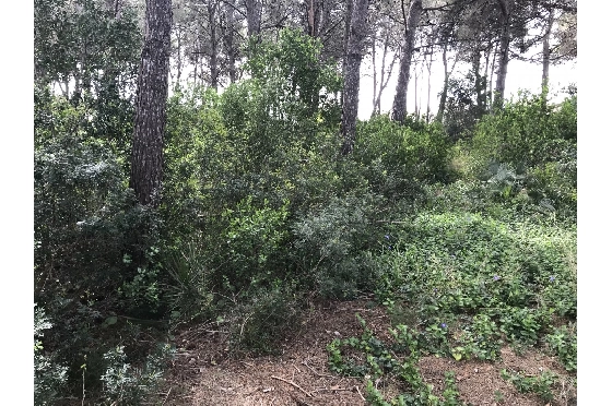 Wohngrundstück in Javea zu verkaufen, Woongedeelte 3514 m², ref.: BS-5275788-5