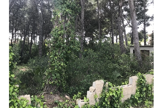 Wohngrundstück in Javea zu verkaufen, Woongedeelte 3514 m², ref.: BS-5275788-6