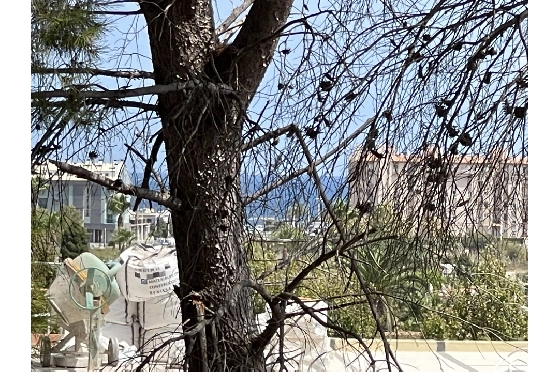 Wohngrundstück in Javea zu verkaufen, Woongedeelte 1642 m², ref.: BS-5923950-1