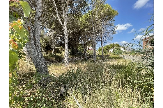 Wohngrundstück in Javea zu verkaufen, Woongedeelte 1642 m², ref.: BS-5923950-8