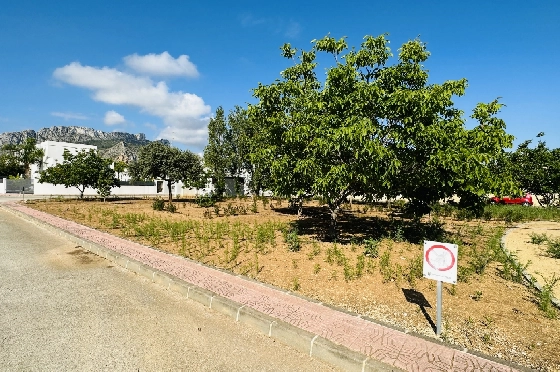 Wohngrundstück in Els Poblets zu verkaufen, Grondstuk 990 m², ref.: AS-0723-9