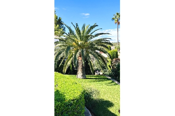 Villa in Denia(Marquesa 6) zu verkaufen, Woongedeelte 227 m², Bouwjaar 1995, Zustand modernisiert, + Zentralheizung, Klimaanlage, Grondstuk 913 m², 3 Slaapkamers, 2 Badkamers, Pool, ref.: AS-2423-63