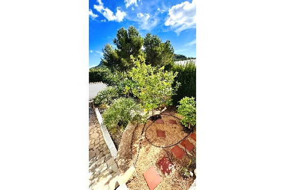 Villa in Denia(Marquesa 6) zu verkaufen, Woongedeelte 227 m², Bouwjaar 1995, Zustand modernisiert, + Zentralheizung, Klimaanlage, Grondstuk 913 m², 3 Slaapkamers, 2 Badkamers, Pool, ref.: AS-2423-64