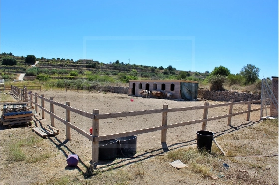 Wohngrundstück in Benissa zu verkaufen, Grondstuk 11141 m², ref.: NL-NLD1495-1
