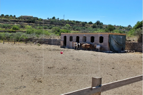 Wohngrundstück in Benissa zu verkaufen, Grondstuk 11141 m², ref.: NL-NLD1495-12
