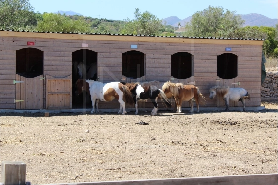 Wohngrundstück in Benissa zu verkaufen, Grondstuk 11141 m², ref.: NL-NLD1495-2