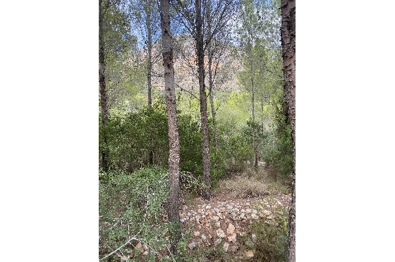 Wohngrundstück in Javea zu verkaufen, Woongedeelte 1542 m², ref.: BS-83474967-3