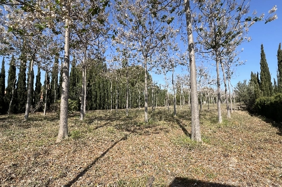 Finca in Pedreguer zu verkaufen, Woongedeelte 400 m², + KLIMA, Grondstuk 12000 m², 2 Slaapkamers, 2 Badkamers, ref.: JS-0624-12