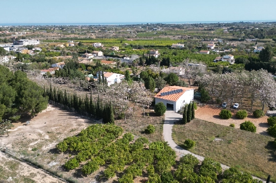 Finca in Pedreguer zu verkaufen, Woongedeelte 400 m², + KLIMA, Grondstuk 12000 m², 2 Slaapkamers, 2 Badkamers, ref.: JS-0624-13