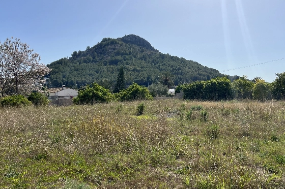 Finca in Pedreguer zu verkaufen, Woongedeelte 400 m², + KLIMA, Grondstuk 12000 m², 2 Slaapkamers, 2 Badkamers, ref.: JS-0624-15
