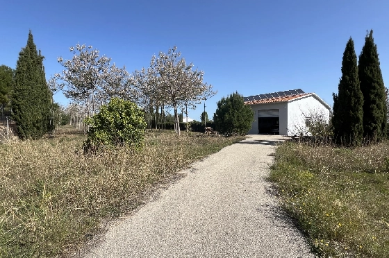 Finca in Pedreguer zu verkaufen, Woongedeelte 400 m², + KLIMA, Grondstuk 12000 m², 2 Slaapkamers, 2 Badkamers, ref.: JS-0624-19
