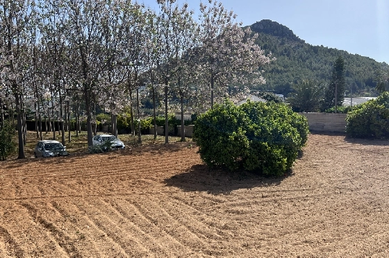 Finca in Pedreguer zu verkaufen, Woongedeelte 400 m², + KLIMA, Grondstuk 12000 m², 2 Slaapkamers, 2 Badkamers, ref.: JS-0624-36