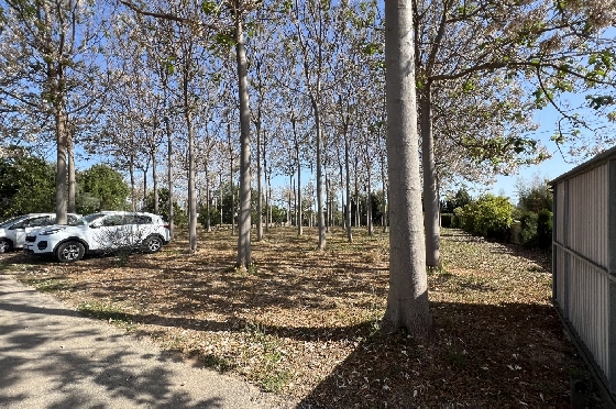 Finca in Pedreguer zu verkaufen, Woongedeelte 400 m², + KLIMA, Grondstuk 12000 m², 2 Slaapkamers, 2 Badkamers, ref.: JS-0624-38