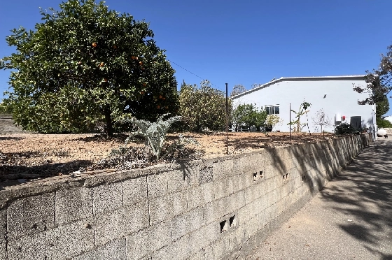 Finca in Pedreguer zu verkaufen, Woongedeelte 400 m², + KLIMA, Grondstuk 12000 m², 2 Slaapkamers, 2 Badkamers, ref.: JS-0624-9