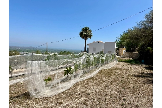 Finca in Pego zu verkaufen, Woongedeelte 83 m², Bouwjaar 1947, Klimaanlage, Grondstuk 7080 m², 2 Slaapkamers, 1 Badkamers, Pool, ref.: O-V91914-11