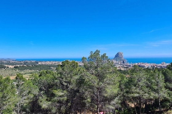 Wohngrundstück in Calpe zu verkaufen, Klimaanlage, Grondstuk 5150 m², Pool, ref.: AM-11749NS-2