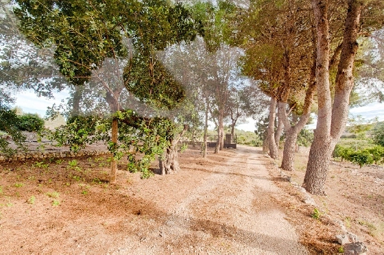 Finca in Gata de Gorgos zu verkaufen, Woongedeelte 450 m², Bouwjaar 1900, + Ofen, Klimaanlage, Grondstuk 20000 m², 4 Slaapkamers, 2 Badkamers, Pool, ref.: AM-11846DA-14