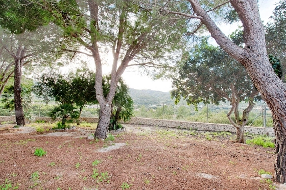 Finca in Gata de Gorgos zu verkaufen, Woongedeelte 450 m², Bouwjaar 1900, + Ofen, Klimaanlage, Grondstuk 20000 m², 4 Slaapkamers, 2 Badkamers, Pool, ref.: AM-11846DA-19