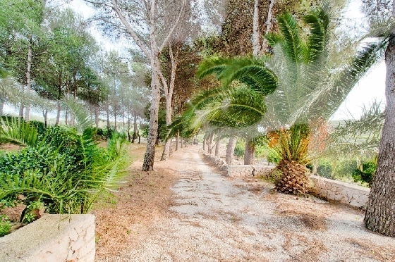 Finca in Gata de Gorgos zu verkaufen, Woongedeelte 450 m², Bouwjaar 1900, + Ofen, Klimaanlage, Grondstuk 20000 m², 4 Slaapkamers, 2 Badkamers, Pool, ref.: AM-11846DA-22