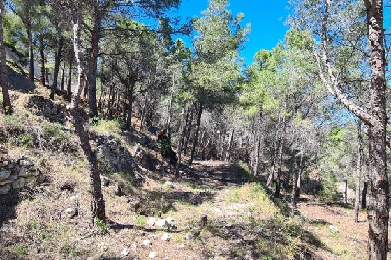 Wohngrundstück in Calpe zu verkaufen, Klimaanlage, Grondstuk 2500 m², Pool, ref.: AM-11750NS-4