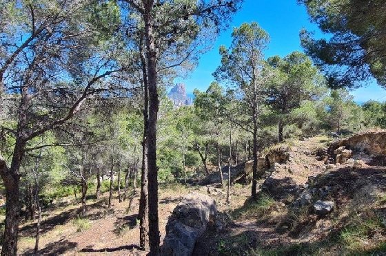 Wohngrundstück in Calpe zu verkaufen, Klimaanlage, Grondstuk 2500 m², Pool, ref.: AM-11750NS-5