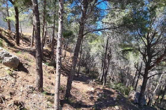 Wohngrundstück in Calpe zu verkaufen, Klimaanlage, Grondstuk 2500 m², Pool, ref.: AM-11750NS-6