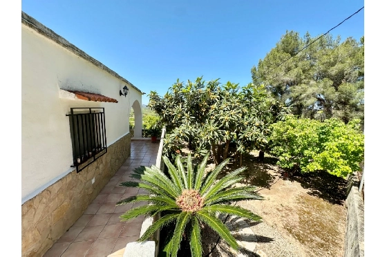 Finca in Pego zu verkaufen, Woongedeelte 45 m², Bouwjaar 1985, + Ofen, Klimaanlage, Grondstuk 4600 m², 2 Slaapkamers, 1 Badkamers, Pool, ref.: O-V94614-19