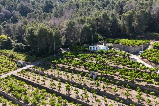 Finca in Pego zu verkaufen, Woongedeelte 45 m², Bouwjaar 1985, + Ofen, Klimaanlage, Grondstuk 4600 m², 2 Slaapkamers, 1 Badkamers, Pool, ref.: O-V94614-4