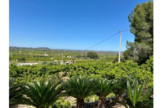 Finca in Pego zu verkaufen, Woongedeelte 45 m², Bouwjaar 1985, + Ofen, Klimaanlage, Grondstuk 4600 m², 2 Slaapkamers, 1 Badkamers, Pool, ref.: O-V94614-7