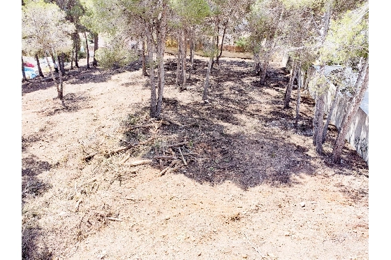 Wohngrundstück in Moraira zu verkaufen, Klimaanlage, Grondstuk 2177 m², Pool, ref.: AM-12200DA-12