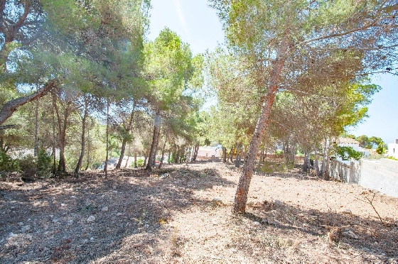 Wohngrundstück in Moraira zu verkaufen, Klimaanlage, Grondstuk 2177 m², Pool, ref.: AM-12200DA-13